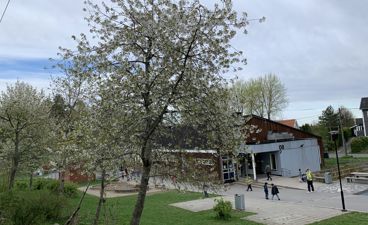 et tre i en park