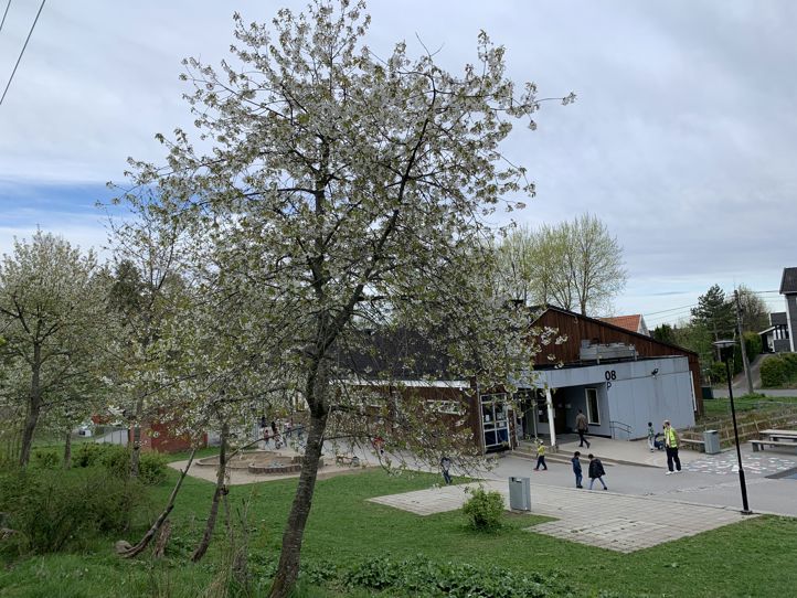 et tre i en park