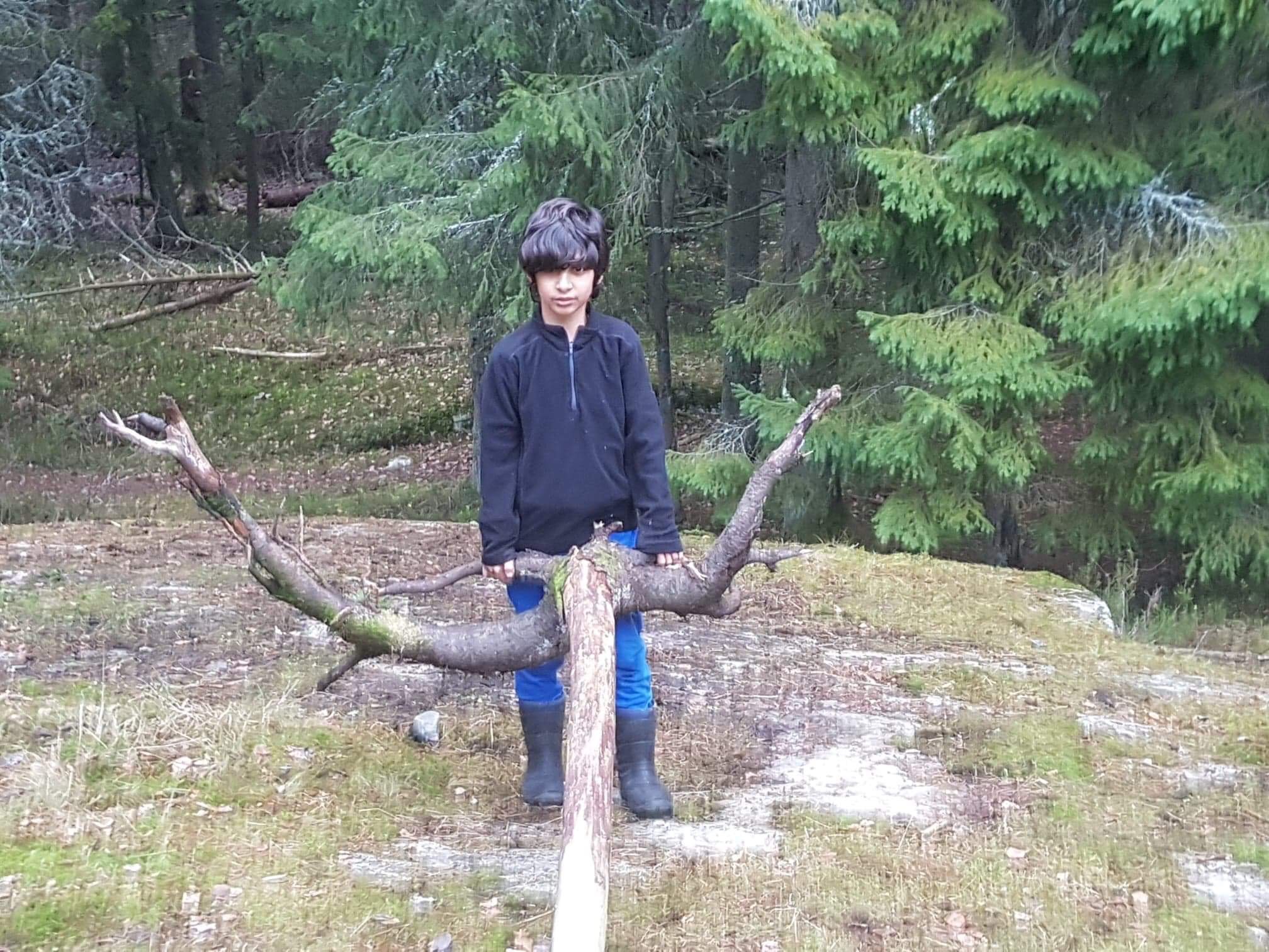 hyttebygging