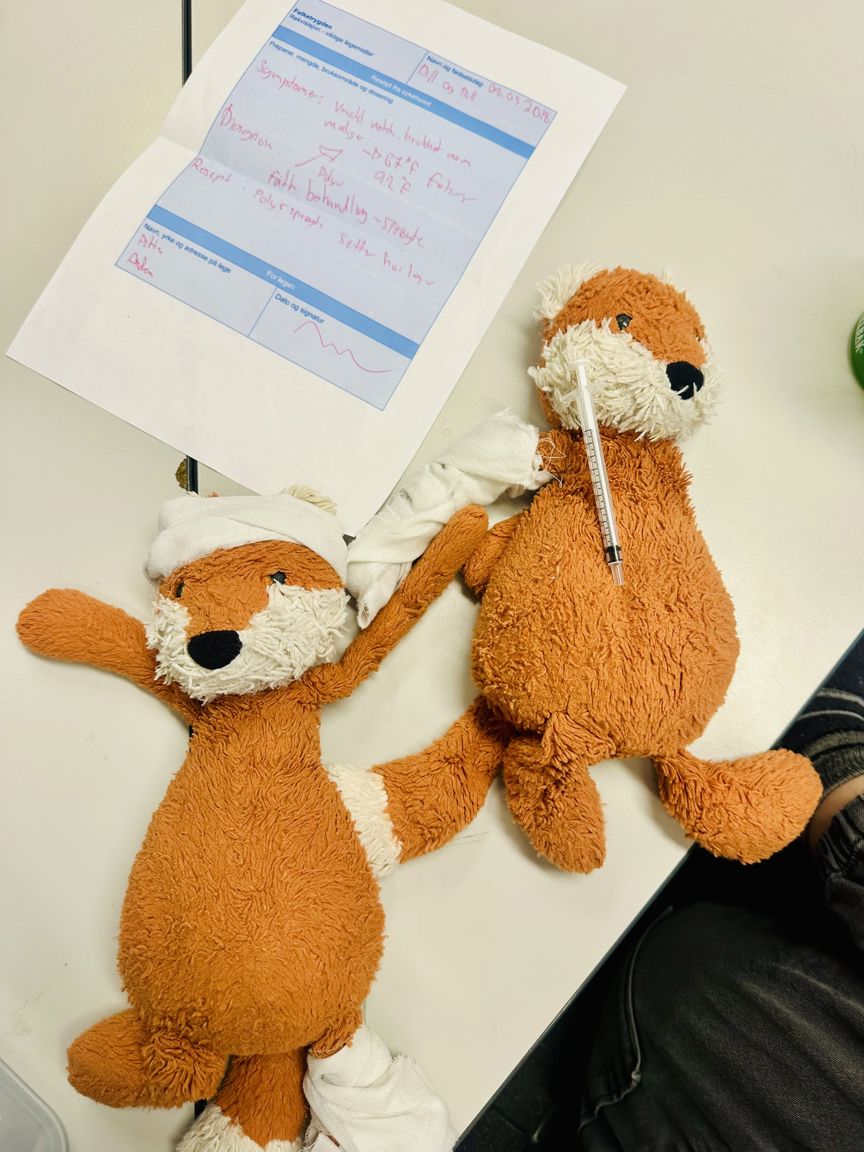 Foto: Monika Wulfken Et par kosedyr sitter på en stol