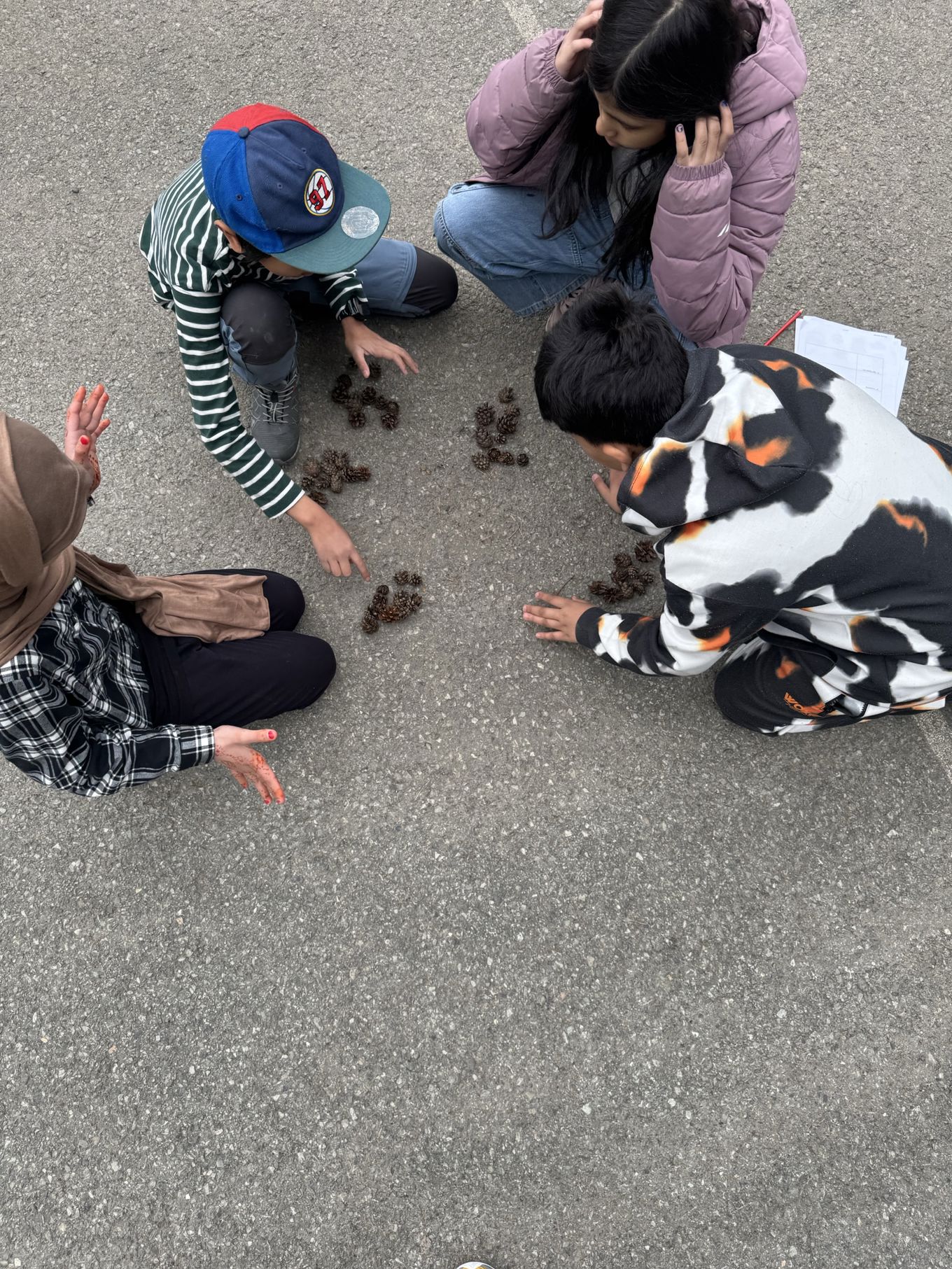 Foto: Anne Roland En gruppe mennesker som ser på en katt på bakken