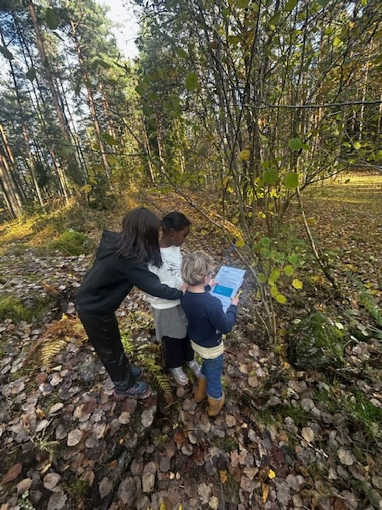 en person og to barn som ser på en bok i en skog