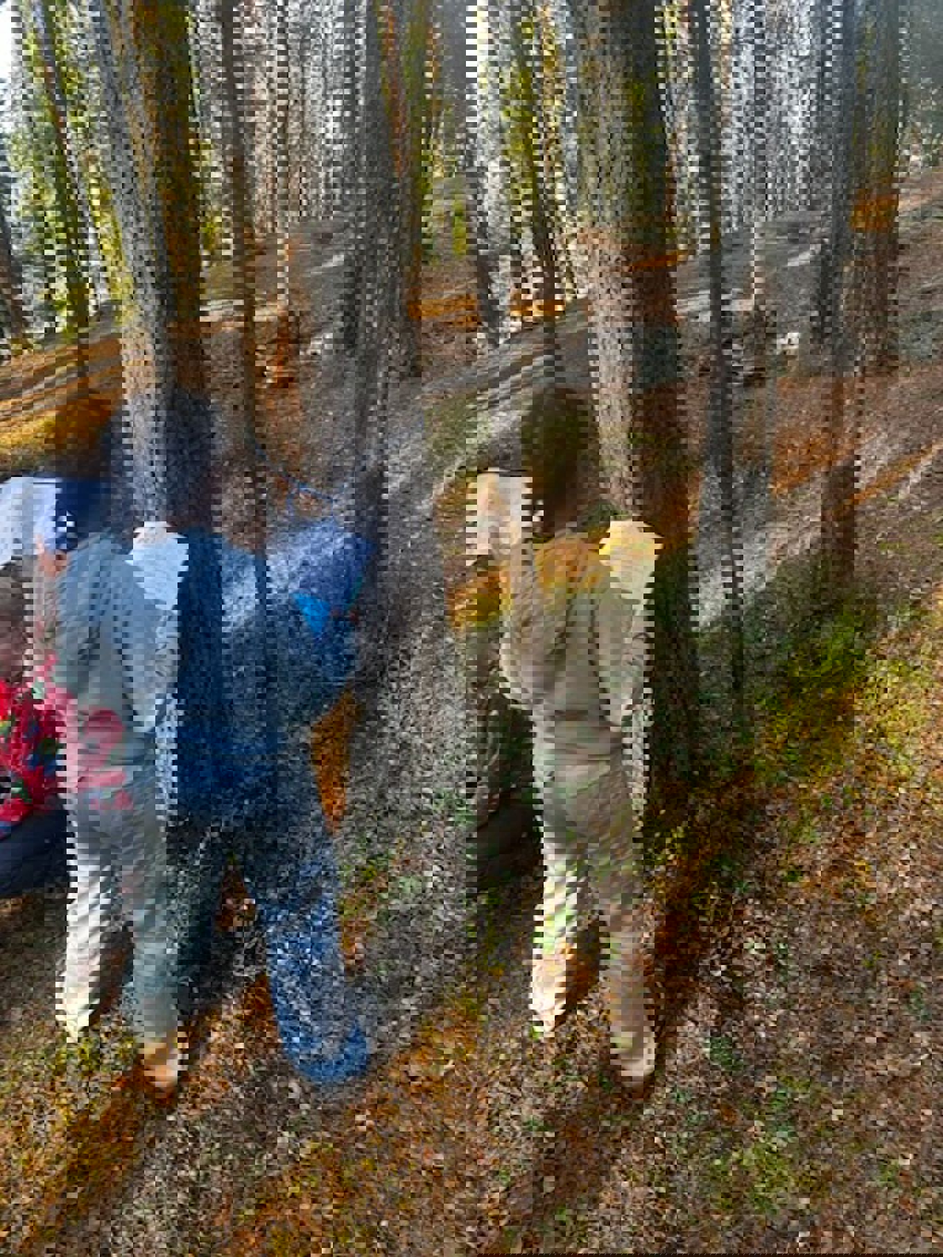 en person som holder et papir og står ved siden av et tre