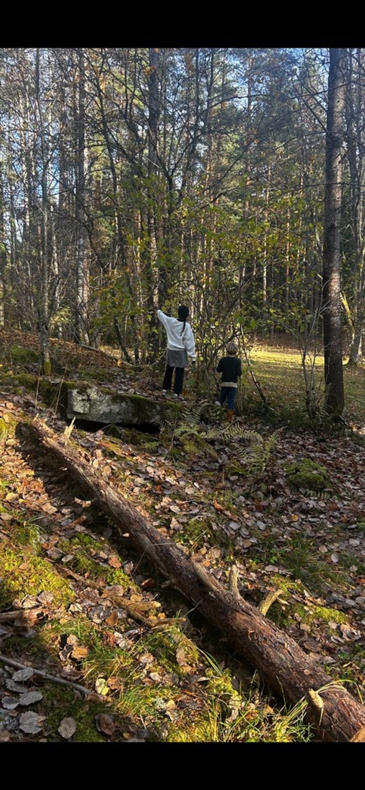 En gruppe mennesker som går i en skog