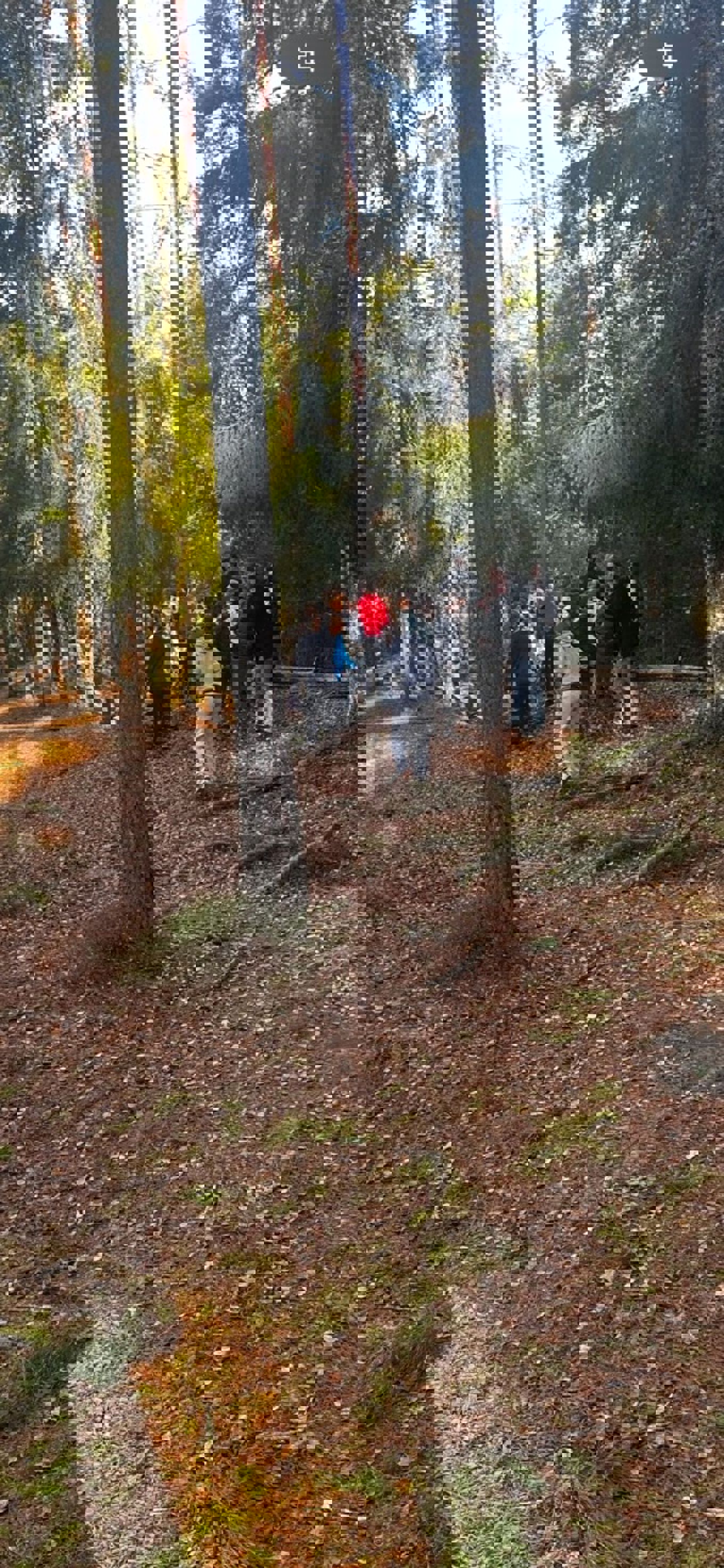 En gruppe mennesker som står i en skog