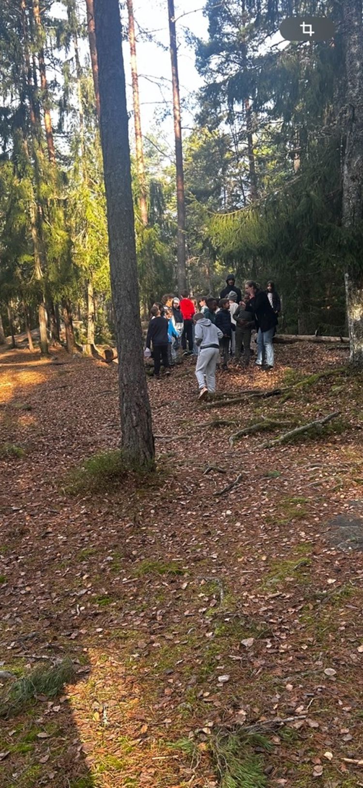 En gruppe mennesker som står i en skog