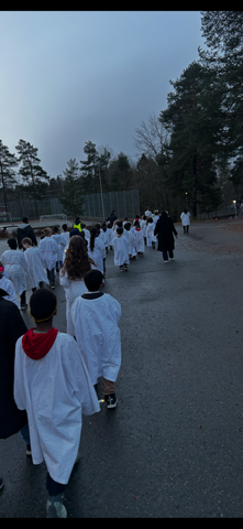 en gruppe mennesker som går nedover en gate