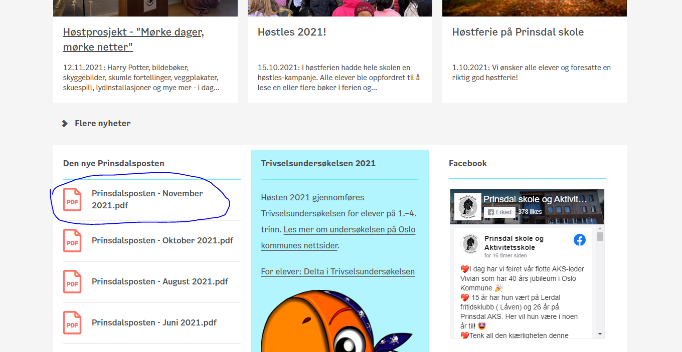 Foto: Prinsdal Prinsdal